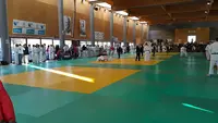 Dojo Municipal David Larose