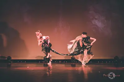 Luminandance Arts