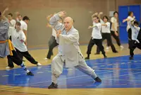 Shaolin Kung Fu Val d'Yvette