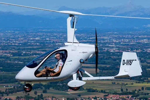 Magnigyro France