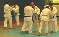 Ecole de Judo Val de Cagnes