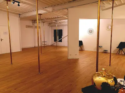 Aerial Dan S - Pole Dance, Cerceau, Hamac Aérien