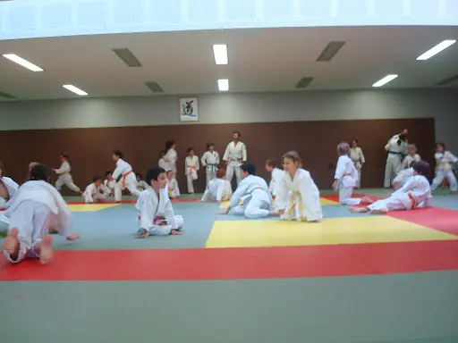 Cannes Mougins Judo