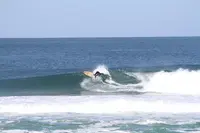 Sølt Surf