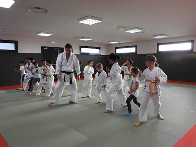 Satori Arts Martiaux