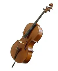 École de Musique Art Nova
