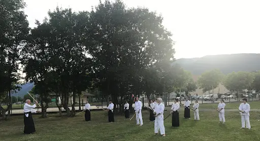 Aikido Club Cessy