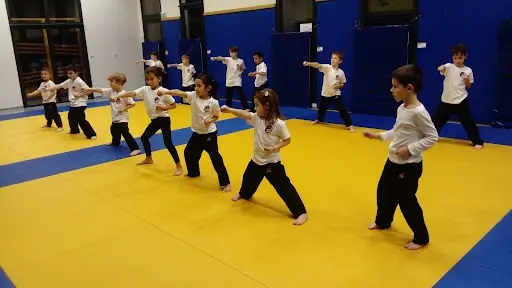Kung Fu - Tai Chi - Qi Gong - Méditation : Association d'Arts Martiaux Siu Lam Siu Hung Gar Khin