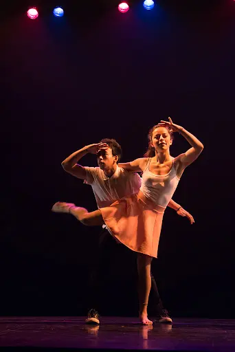 Temps Danse Vie