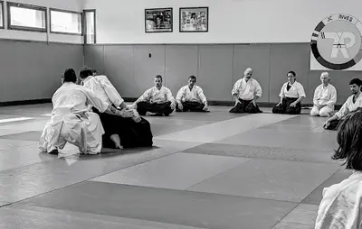 Kishinkai Aikido Rives Charnècles