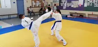 Karaté Kyokushinkai Renaudin