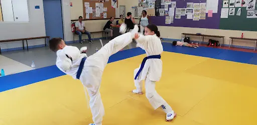 Karaté Kyokushinkai Renaudin