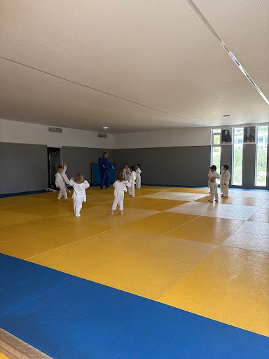 Roc Judo