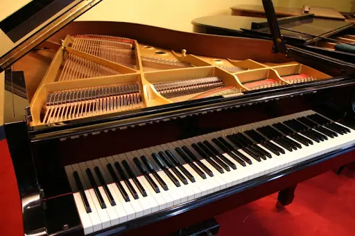 S Cool Music Academy