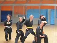 Kungfu Shaolin - École Tigre et Dragon (colombelles)