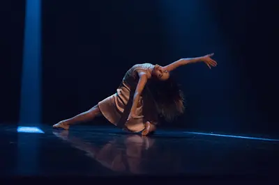 Studio de Danse Lydie Brocard - Studios 240