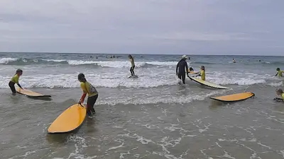 Surfing Sardine - École de Surf