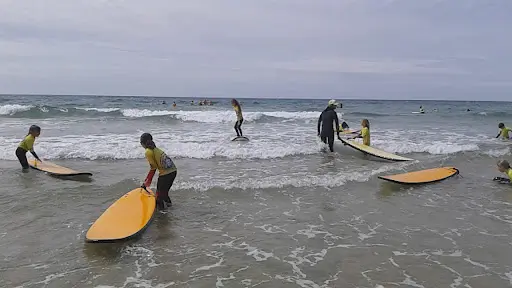 Surfing Sardine - École de Surf