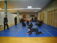 Bujinkan Shinobi Dojo - Ninjutsu Dijon