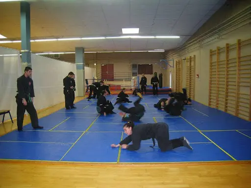 Bujinkan Shinobi Dojo - Ninjutsu Dijon