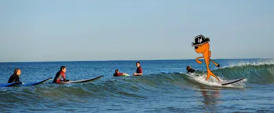 Pirate Surf School