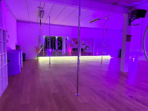 Le Studio Prive - Domont - la Première École de Pole Dance et de Cerceau Aérien du Val D’oise Pour Tous