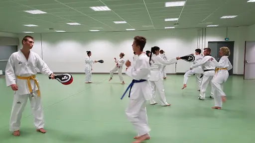 Taekwondo Club Daniel Bottero