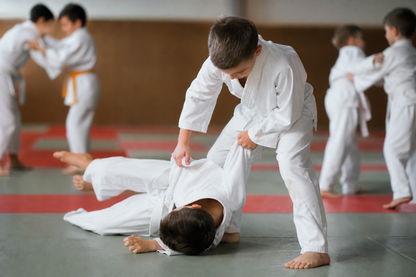 Écoles de judo