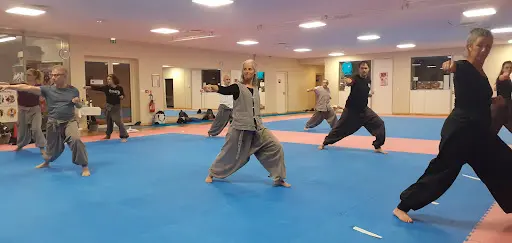 Centre Traditionnel Taekwondo