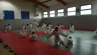 Judo Jujitsu Escalquens Labège Jjel 