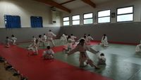 Judo Jujitsu Escalquens Labège Jjel 