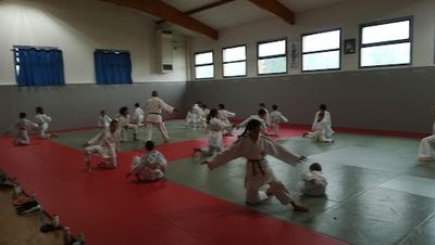 Judo Jujitsu Escalquens Labège Jjel 