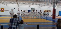 A.s.e Judo