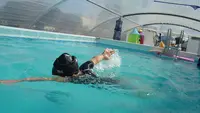 Ecole de Natation Flottibulle
