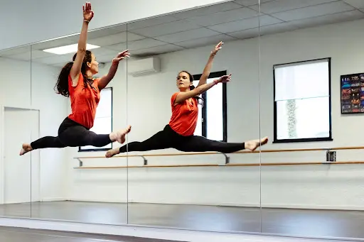 l'Art de la Danse
