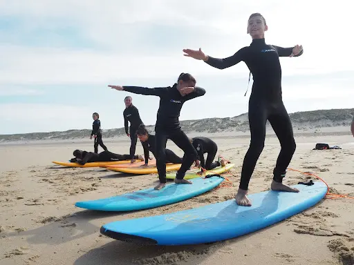 Trimline Surf