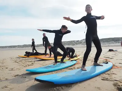 Trimline Surf