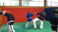 Nord Shogun - Arts Martiaux Faches Thumesnil