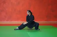 Wushu-aikido Tarn