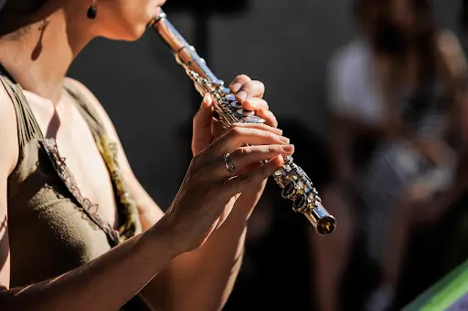 Ecole Municipale de Musique et de Danse de Fegersheim