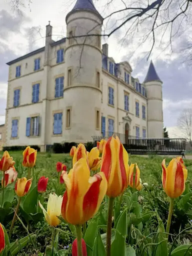 École de Musique - Conservatoire À Rayonnement Communal
