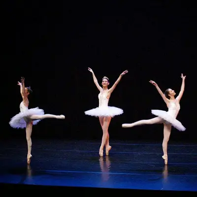 Ballets Artémis