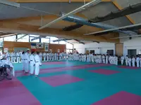 Judo Club Frouzins