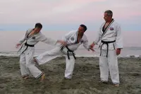 Hapkido Jin Jung Kwan Corse