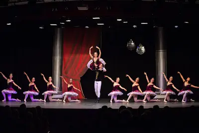 Ecole de Danse Classique Petit Conservatoire de Danse