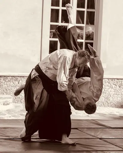 Aikido Wanomichi Club Chevry 2