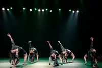 Ocalyce des Arts