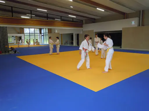Judo Club Gouesnousien