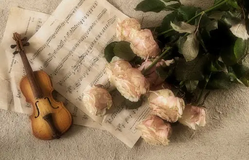 Sarah S Violin School - Ecole de Violon Grans