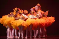 Ecole de Danse Envol